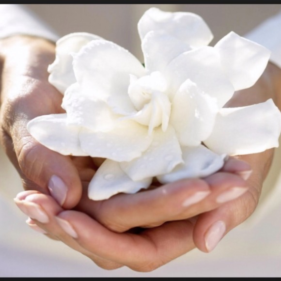 Meet your Posher, Kathey - Picture 1 of 5